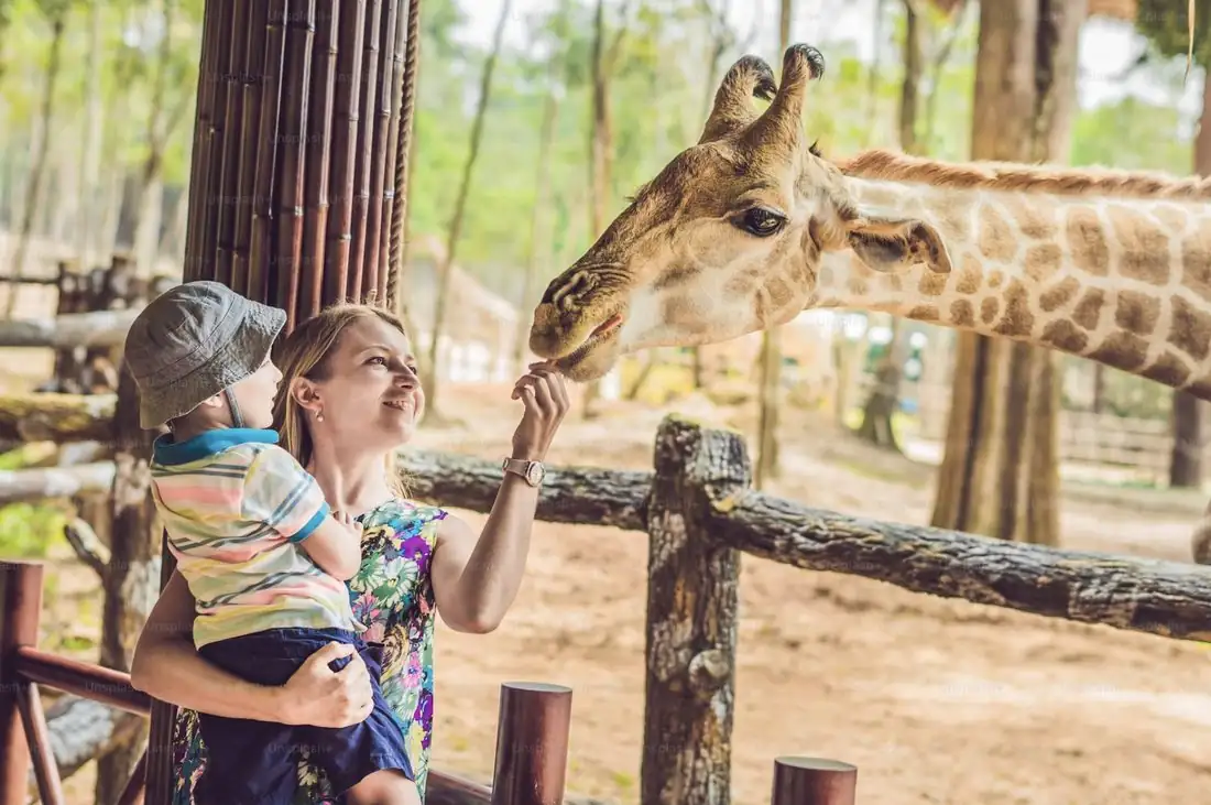 Familie beim Tierpark-Besuch